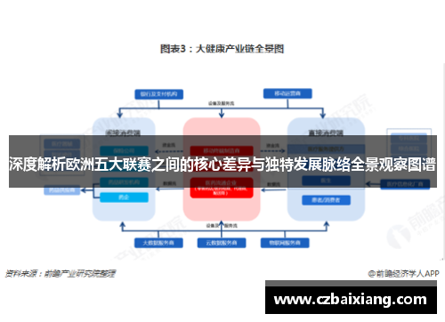 深度解析欧洲五大联赛之间的核心差异与独特发展脉络全景观察图谱