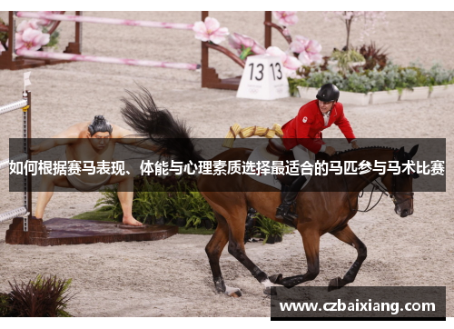 如何根据赛马表现、体能与心理素质选择最适合的马匹参与马术比赛